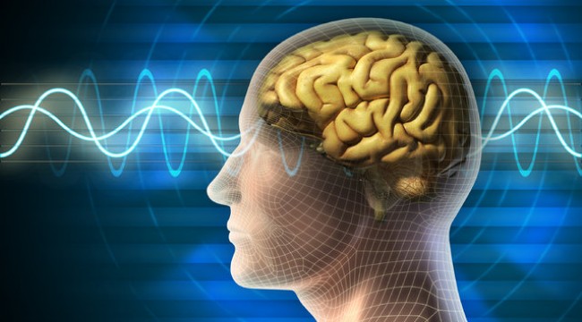 13 adımda beyninize iyi bakma kılavuzu!