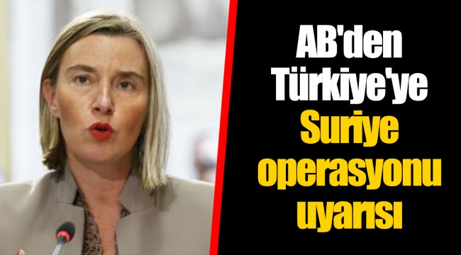 AB'den Türkiye'ye Suriye operasyonu uyarısı