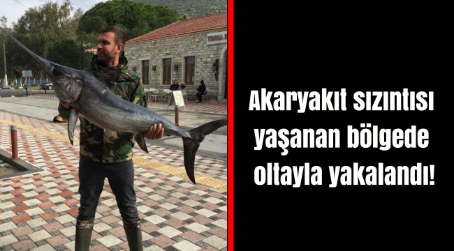 Akaryakıt sızıntısı yaşanan bölgede oltayla yakalandı!