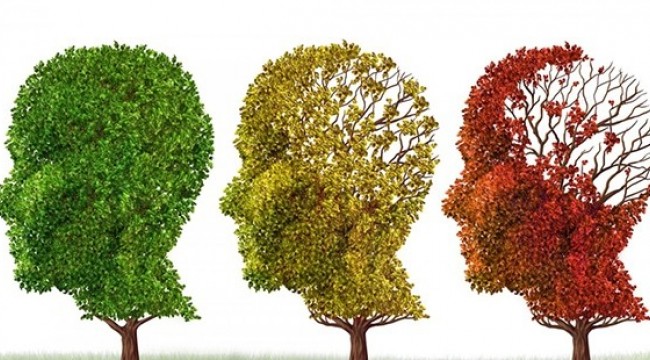 Alzheimer hasta sayısı 1 milyona dayandı