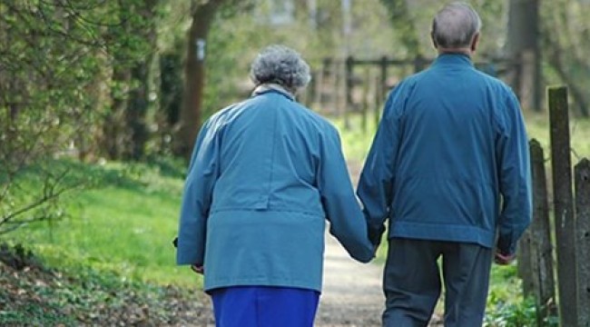 Alzheimer tedavisi için yosun ilaçları üretilebilir