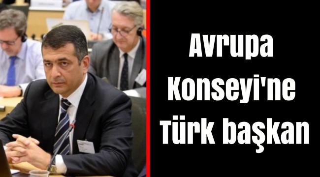Avrupa Konseyi'ne Türk başkan