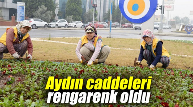 Aydın caddeleri rengarenk oldu