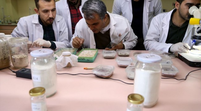Bilim insanları topraktan böcek ilacı geliştirdiler