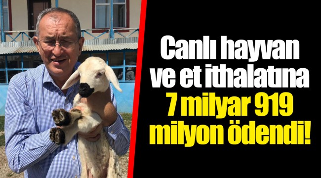 Canlı hayvan ve et ithalatına 7 milyar 919 milyon ödendi!