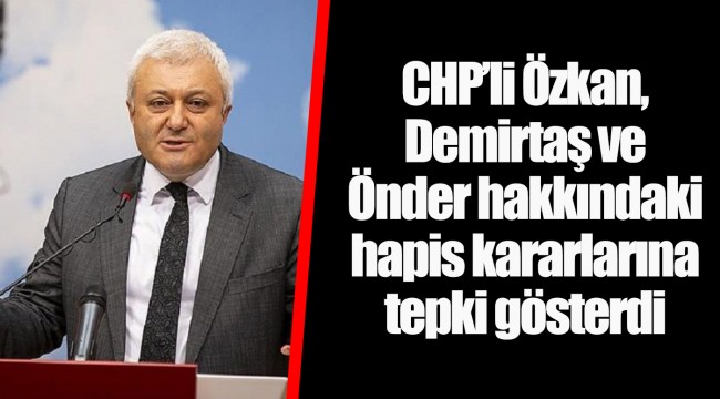 CHP'li Özkan, Demirtaş ve Önder hakkındaki hapis kararlarına tepki gösterdi 
