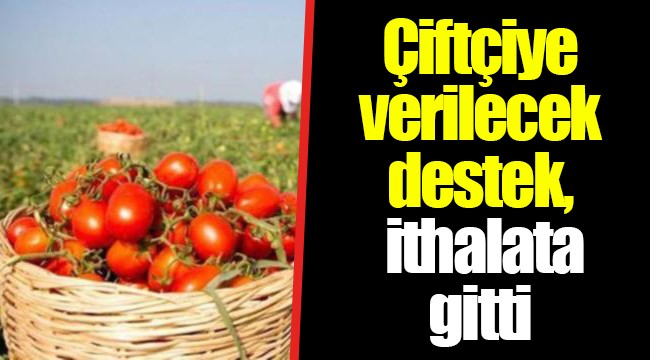 Çiftçiye verilecek destek, ithalata gitti