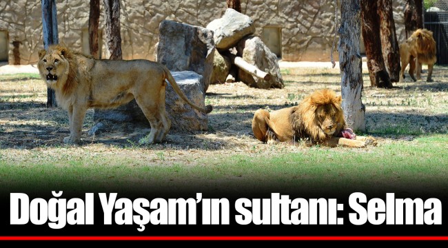 Doğal Yaşam’ın sultanı: Selma