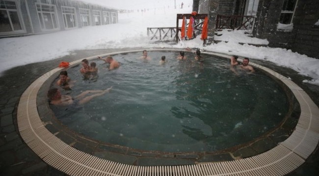 Dünyanın en hızlı kuşu Trabzon'da bulundu!