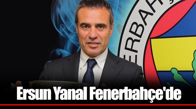 Ersun Yanal Fenerbahçe'de