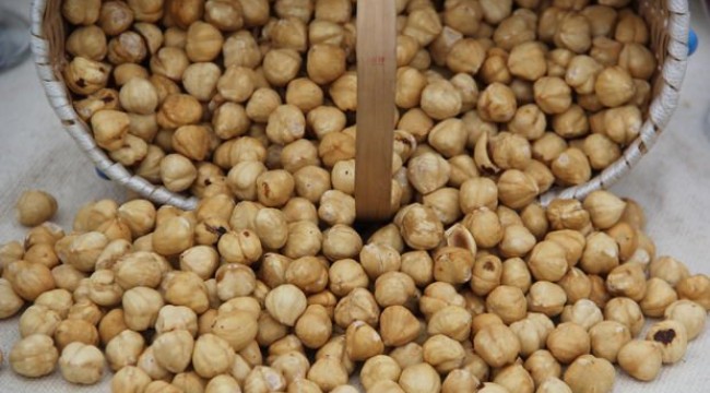 Fındık ihracatından 10 sezonda 18 milyar dolar gelir