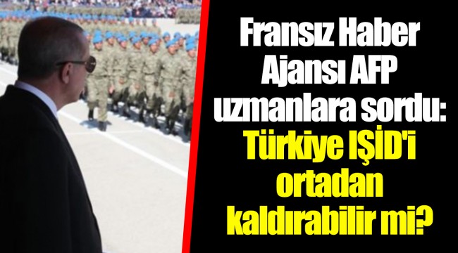 Fransız Haber Ajansı AFP uzmanlara sordu: Türkiye IŞİD'i ortadan kaldırabilir mi?
