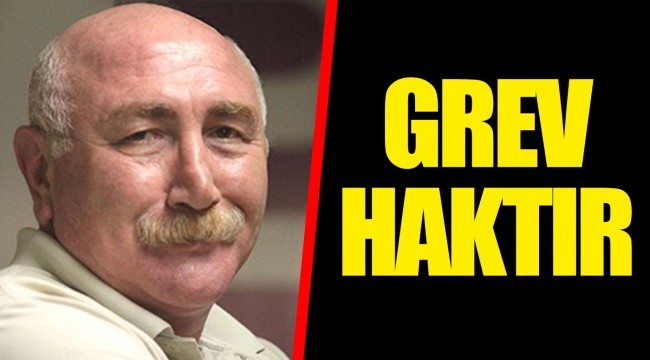 Gazeteci Öztürk: Grev haktır
