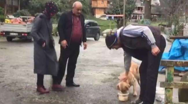 Görenler şaşırıyor... Aynı yerde bir aydır bekliyor
