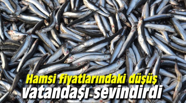 Hamsi fiyatlarındaki düşüş vatandaşı sevindirdi