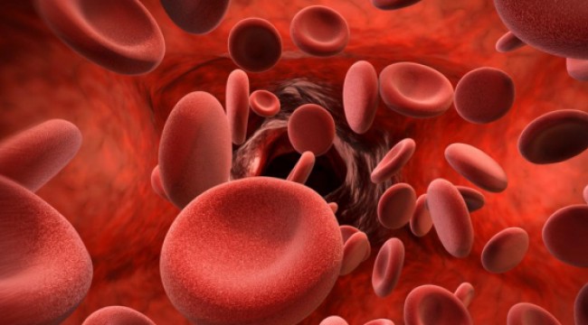 "Hemofili hastaları artık hayatla daha barışık"