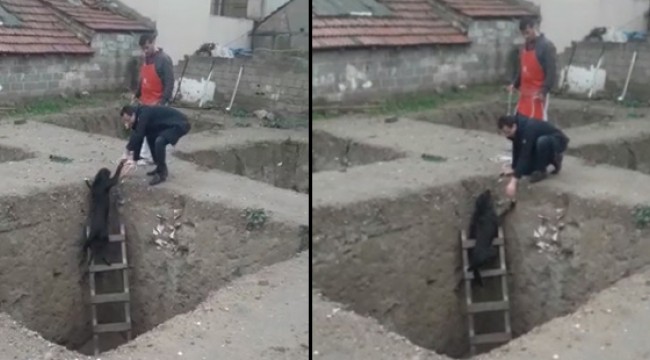 İnşaat çukuruna düşen köpeğe esnaf elini uzattı
