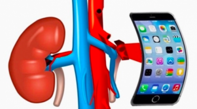 iPhone için böbreğini sattı, hayatı karardı!