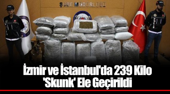 İzmir ve İstanbul'da 239 Kilo 'Skunk' Ele Geçirildi