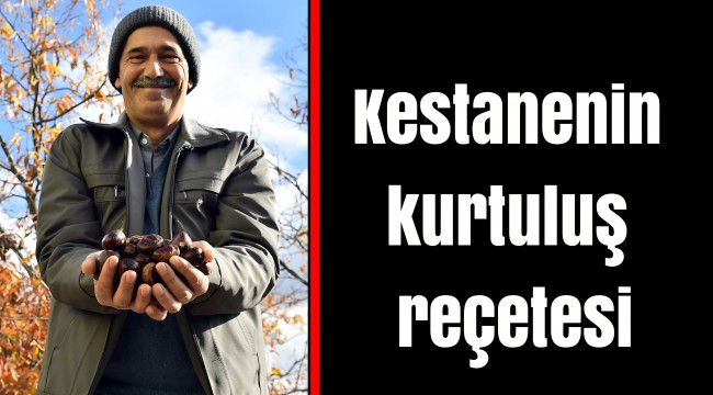 Kestanenin kurtuluş reçetesi