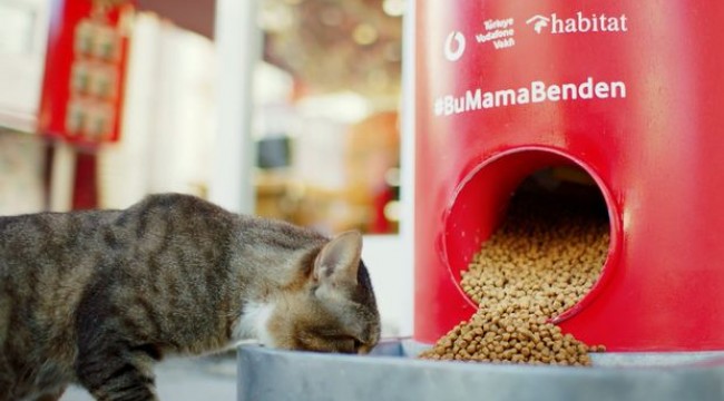 Kodla çalışan mama makineleri Türkiye’de 11 noktaya ulaştı