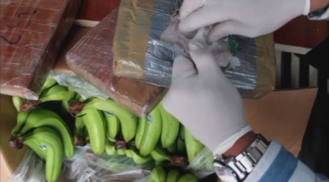 Muz yüklü konteynerden 32 kilo kokain çıktı