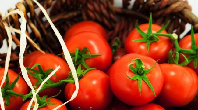 Rusya, Türkiye'den domates ithalatını 2 kat artırıyor