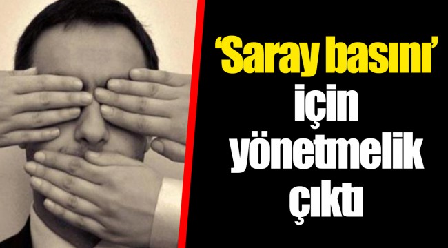‘Saray basını’ için yönetmelik çıktı