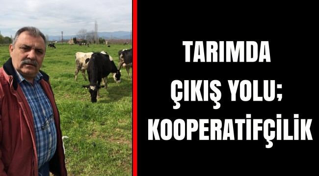 TARIMDA ÇIKIŞ YOLU; KOOPERATİFÇİLİK