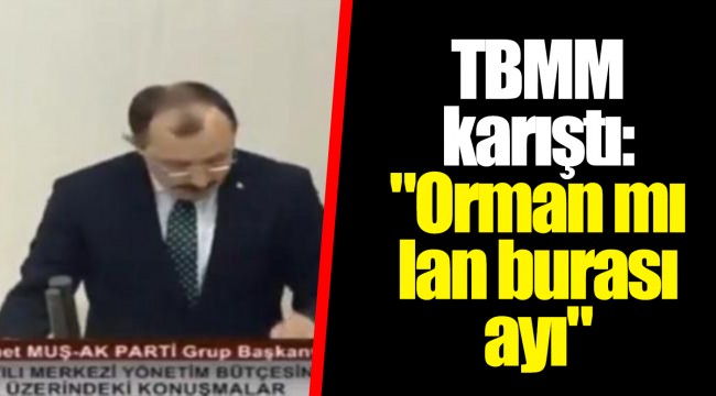 TBMM karıştı: "Orman mı lan burası ayı"