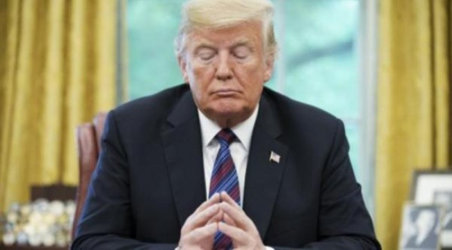 Trump 'kazıklı çit' projesini beğendi