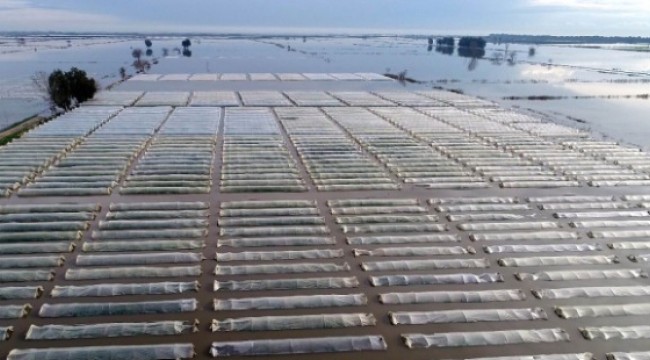 Türkiye'nin sebze üretim merkezinde, seralar sular altında