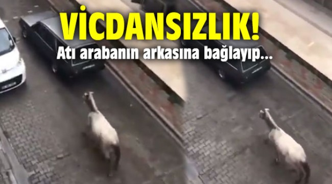 Vicdansızlık! Atı arabanın arkasına bağlayıp...