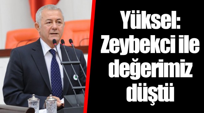 Yüksel: Zeybekci ile değerimiz düştü