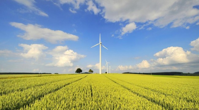 Bir ayda Berlin'in bir yıllık elektrik ihtiyacı karşılandı