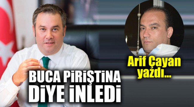 Buca Piriştina diye inledi! Arif Çayan yazdı...