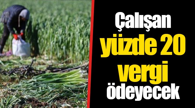 Çalışan yüzde 20 vergi ödeyecek