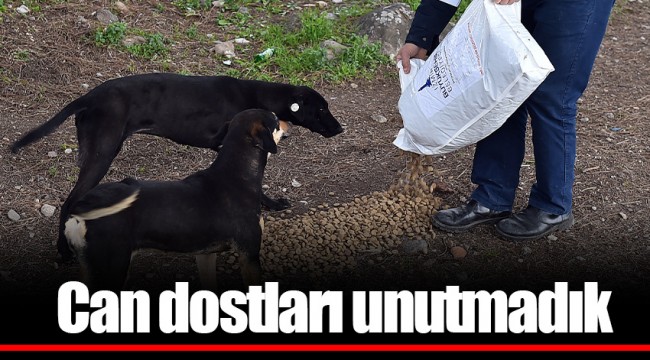 Can dostları unutmadık