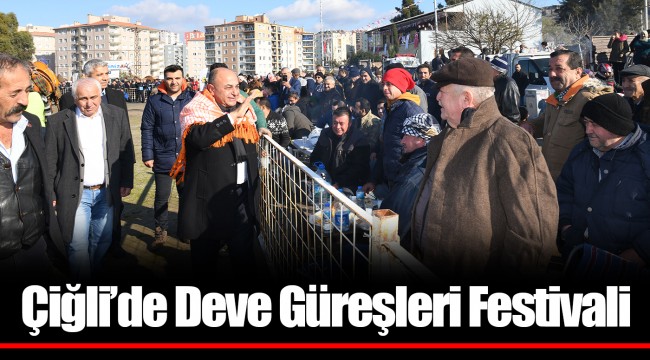Çiğli’de Deve Güreşleri Festivali