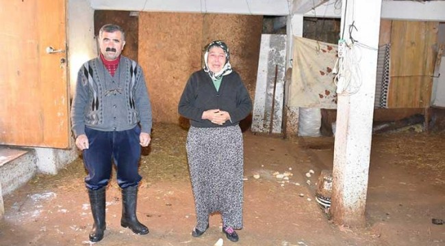Dolandırıcıların yeni hedefi şehit ailesi oldu!