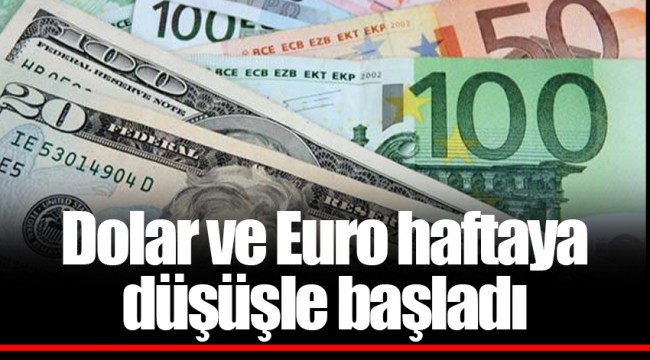 Dolar ve Euro haftaya düşüşle başladı