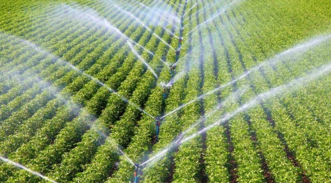 Dünya Bankasından Türkiye'nin sulama altyapısına verilecek krediyi onayladı