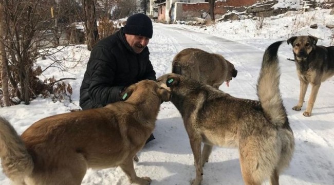 Emekli maaşını sokak hayvanları için harcıyor
