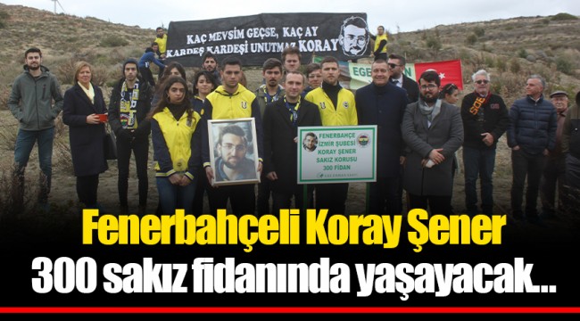 Fenerbahçeli Koray Şener 300 sakız fidanında yaşayacak…