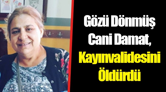 Gözü Dönmüş Cani Damat, Kayınvalidesini Öldürdü