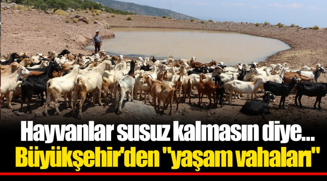 Hayvanlar susuz kalmasın diye…