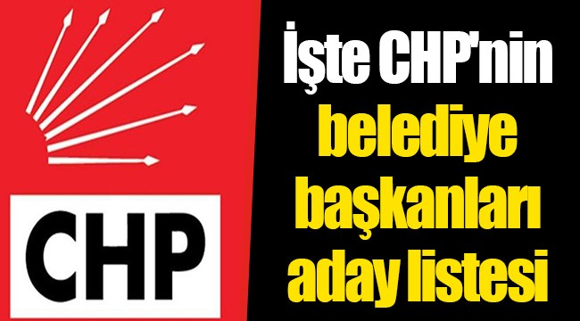 İşte CHP'nin aday listesi