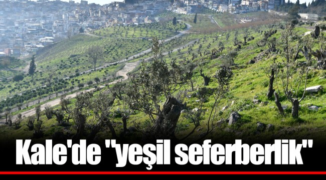 Kale'de "yeşil seferberlik"