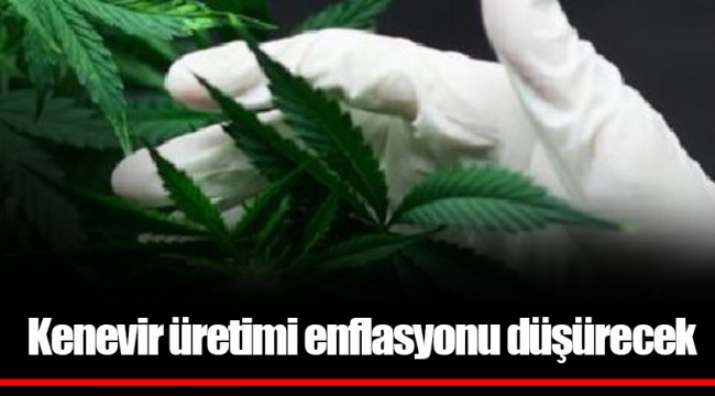 Kenevir üretimi enflasyonu düşürecek