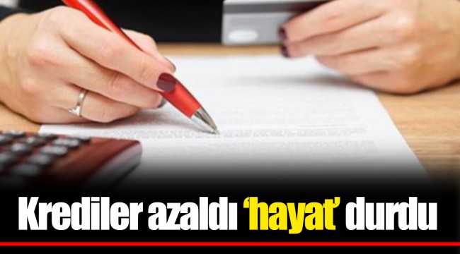 Krediler azaldı ‘hayat’ durdu